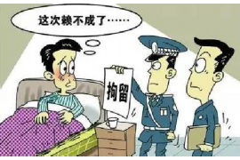 安岳企业清欠服务